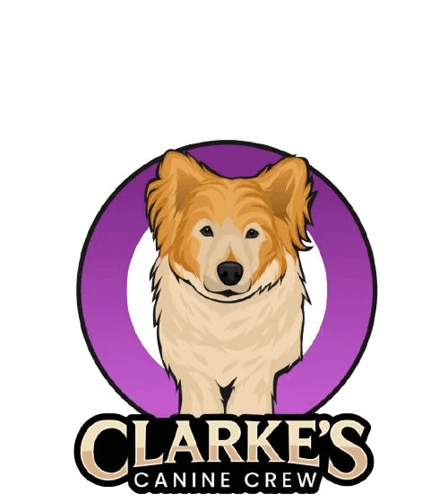 Clarke's Canine Crew illustrated mascot