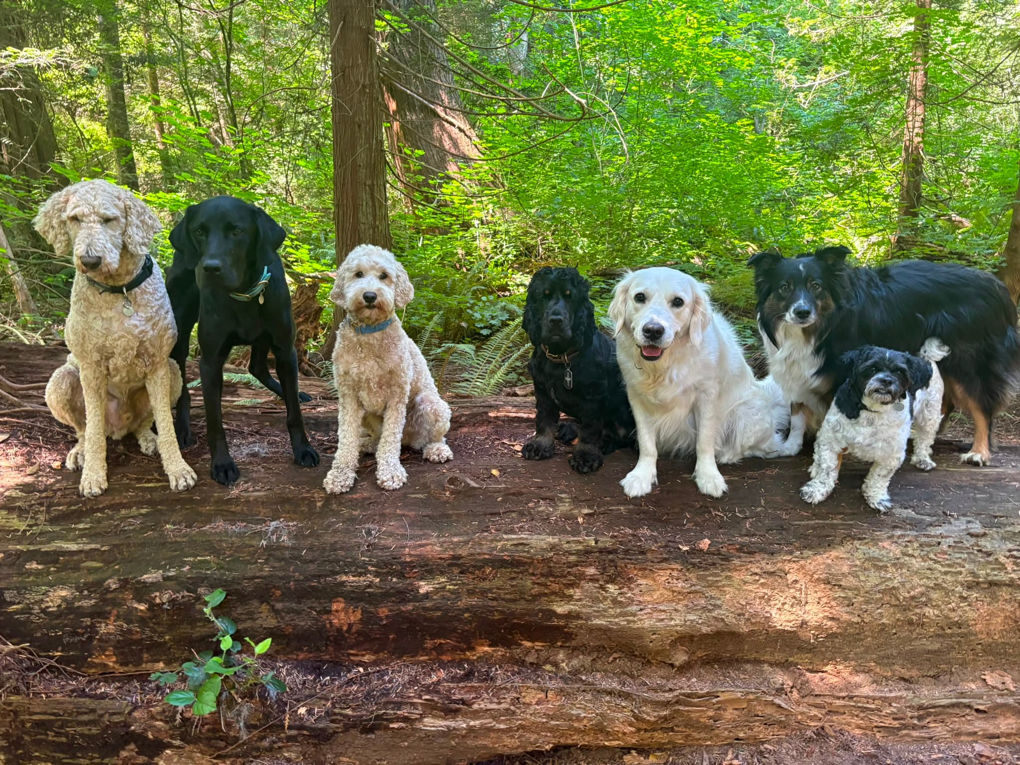 Group Adventure Walks