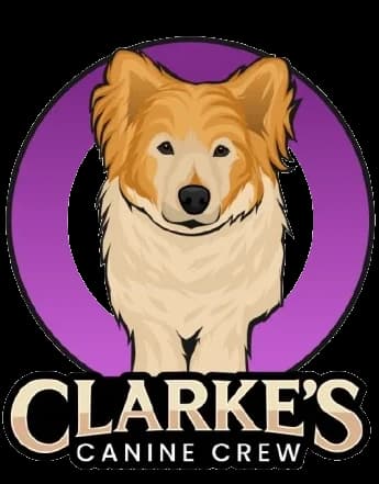 Clarke's Canine Crew