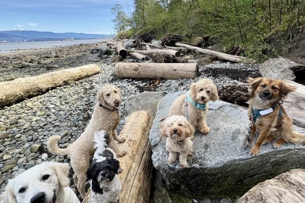 group walks on the beach