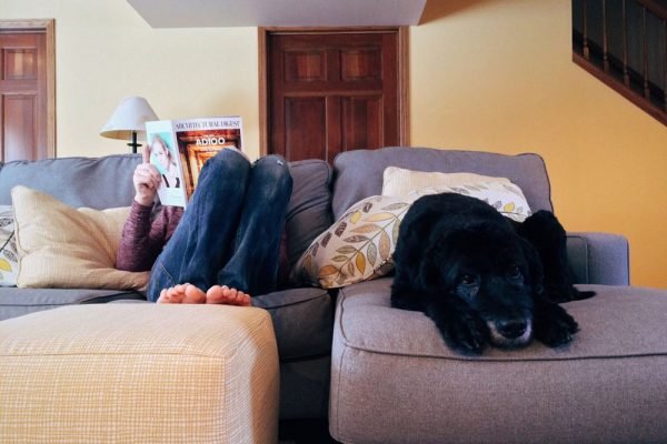 person-home-relax-dog.jpg