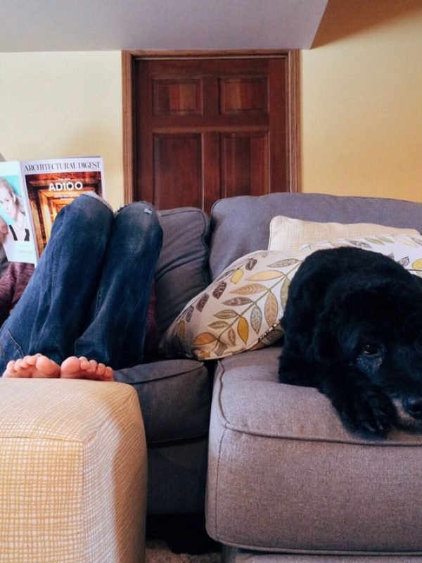 person-home-relax-dog.jpg